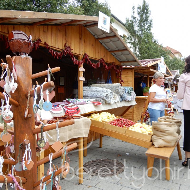 Helyi Értékek Startja 52